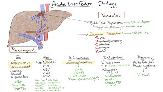 Chalk Talk Acute Liver Failure [upl. by Kries]