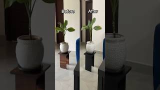 🌿✨ Plant Wood Table Holder Makeover Transform Your Space with Style 🪴✨diydecor viral homedecor [upl. by Isis565]