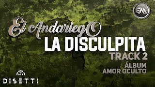 El Andariego  La Disculpita  Música Popular [upl. by Demitria921]