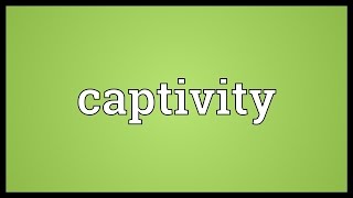 Captivity Meaning [upl. by Htebharas]