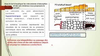 exercice n° 3 production de la matière organique 1er année bac science ex et science math [upl. by Enrev865]