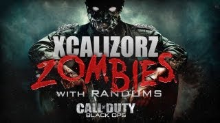 Nazi Zombies  Ascension w Randoms pt2 [upl. by Ecarg]