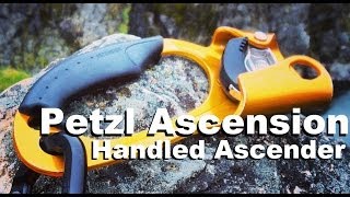 Petzl Ascension Handled Ascender [upl. by Todhunter]