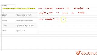 Pneumotaxic center is found in [upl. by Onileva]