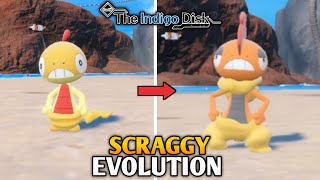 How To Evolve Scraggy Into Scrafty In Pokemon Scarlet amp Violet  The Indigo Disk DLC [upl. by Siwel434]