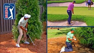 Best ESCAPE SHOTS of 2024 on the PGA TOUR [upl. by Jansson]