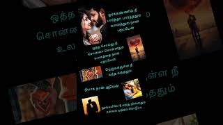 velli nilave song lyrics  melody love song youtube shorts [upl. by Nodroj]