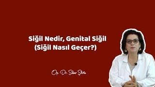 SİĞİL NEDİR GENİTAL SİĞİL  Siğil Nasıl Geçer   Op Dr Seher Şirin [upl. by Mahmud]