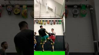 Masterful inside leg sweep from Kapo  Gorilla Vinny Training  2024 muaythai kickboxing mma [upl. by Amliv657]