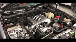 OM603 TURBO W124 gains with DPUK [upl. by Shelli]