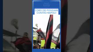 CORO DEI TIFOSI DEL FOGGIA CONTRO NAPOLI SUCCEDE ANCHE IN SERIE C shorts [upl. by Atik]