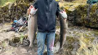 Klickitat river fall salmon fishing [upl. by Ernaldus]