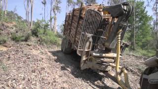 COSTA forestry 4WD trailers and cranes  Reboques e gruas florestais COSTA [upl. by Einahpad]