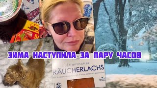 Релакс выпуск Покупки засыпало первым снегом halyna124 нашажизньвгермании скотчтерьер [upl. by Patten597]