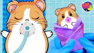 🐶 HAMSTER EMBARAZADA TIENE un BEBÉ en el HOSPITAL 🤰 [upl. by Mollee]