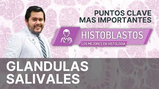 HISTOLOGÍA  GLÁNDULAS SALIVALES [upl. by Rye]