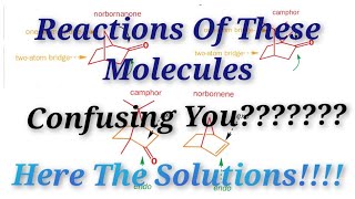 Important Reaction Of Camphor Norbornanone and NorborneneConfusingLearn in a easy way [upl. by Wilmar]