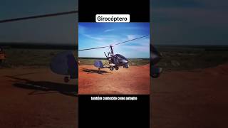 Autogiro ou Girocóptero Parte1 girocoptero helicoptero aeronave engenhariaaeroespacial [upl. by Elkin]