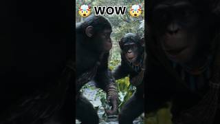 The Kingdom of the Planet of the Apes Nova’s Journey Begins [upl. by Fiorenza504]