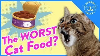 Cat Expert Explains How to Read Cat Food Labels [upl. by Teage]