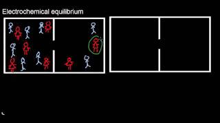 lecture 18 part 1 Membrane potential of cells [upl. by Akinas216]