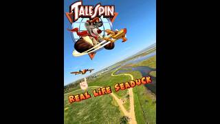 The Seaduck is back disney talespin rcplane [upl. by Avad]