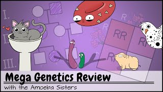 Mega Genetics Review [upl. by Charlotte702]