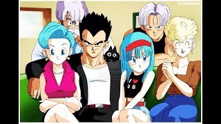 Dragon Ball  Vegetas Family [upl. by Werdnael]