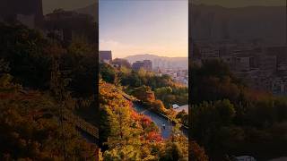 Golden Hour in Autumn Nature’s Perfect Palette shortsvideo autumn [upl. by Orlan]