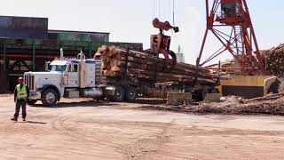 Weyerhaeuser Lumber Mill Bruce MS Short Version [upl. by Susannah]