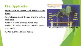 01 Biology G10  Autotrophy and Photosynthesis  W01 [upl. by Airdnoed]