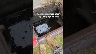 marines catches a fish by using zyn as bait marinecorps semperfi usmilitary usa [upl. by Dion700]