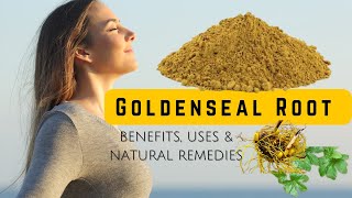 Secrets of Goldenseal Root Powder for Health and Healing [upl. by Casey]