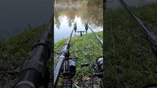 Carp run on Delkims 133 fishing carp carpfish carpfishing carpruns carpbitesamprunsuk [upl. by Rao834]