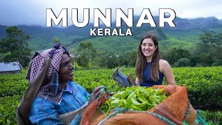 Munnar Suryanelli Kerala in the Monsoon The best vlog Ive ever made  WeekendTrips India [upl. by Erikson560]