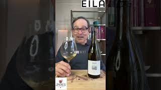 Eila Willamette Valley Chardonnay 22  95 Points willamettevalley chardonnay shorts wine [upl. by Wallas]