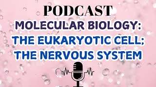 MOLECULAR BIOLOGYTHE EUKARYOTIC CELL THE NERVOUS SYSTEM [upl. by Aerdua]