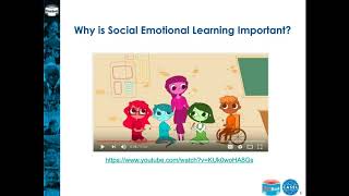 Using Children’s Books to Develop Social amp Emotional Learning [upl. by Irish]