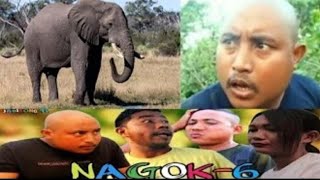 Cover comedy nagok 6 [upl. by Repard280]