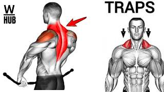 Trapezius Workout At Home  Back Wing Shoulder Exercises [upl. by Niram9]