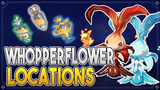 Whopperflower Locations  Whopperflower Nectar Farming route 【Genshin Impact】 [upl. by Anaylil]