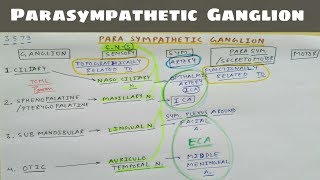 Parasympathetic Ganglion 1 Ciliary Sphenopalatine Submandibular Otic Ganglion  TCML [upl. by Nordek]