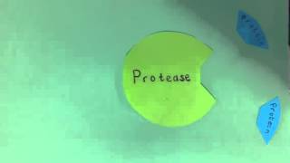 Science enzyme animation by vaze [upl. by Swanson]