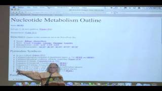 Kevin Aherns BiteSized Biochemistry 39  Nucleotide Metabolism I [upl. by Brita]