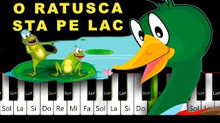 O Ratusca Sta pe Lac Tutorial PIAN Cantece copii [upl. by Lotti]