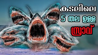 5 Headed Shark 2017 Explained In Malayalam  Movie Explained In Malayalam [upl. by Brinson779]