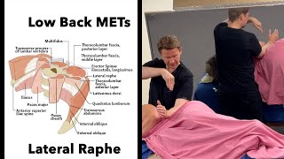 Low Back METs Lateral Raphe QL  Quadratus Lumborum release HD 1080p 2024 [upl. by Woodruff]