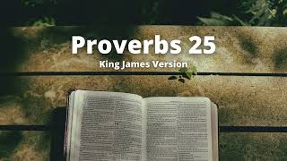 Proverbs 25  King James Version Audio Bible [upl. by Ahsinned]