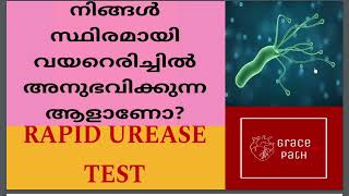 Rapid Urease Test RUT  CLO Test  Helicobacter Pylori Malayalam [upl. by Randie411]