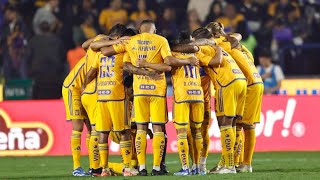 ¿NO HABRÁN REFUERZOS EN TIGRES 🫤🐯 [upl. by Etnaled]